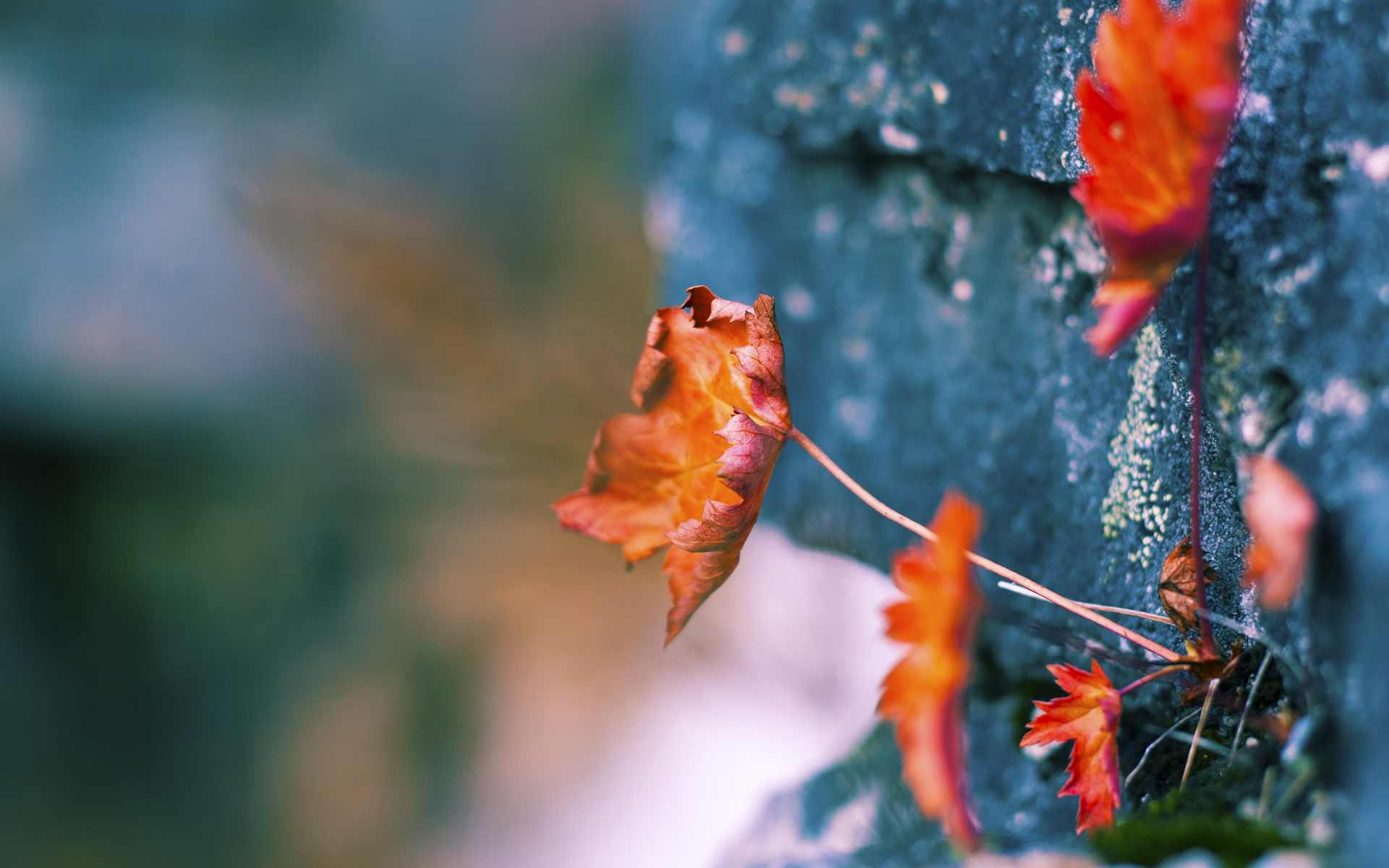 乔治统治全场，广州队横扫公牛获历史性胜利