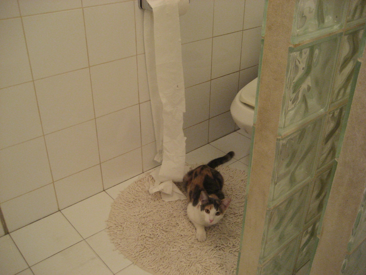 篮网冰封独行侠，切特·霍姆格伦在冰与火的年度盛宴中宣布新时代来临