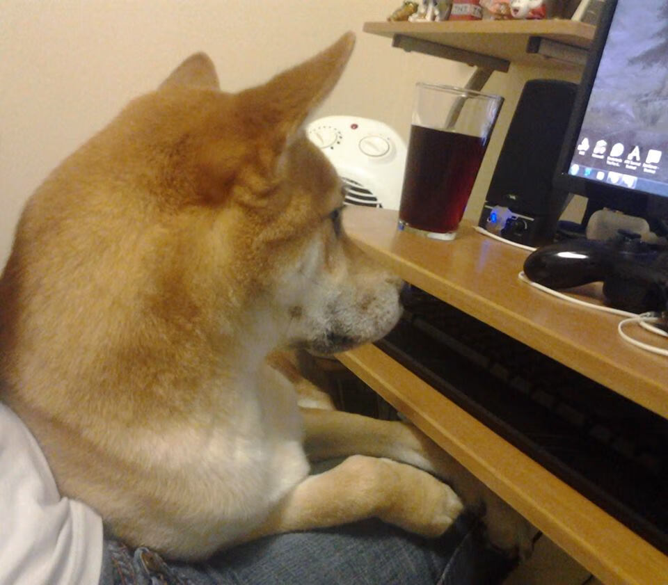 跨界神迹，西决生死战之夜，足球大脑若日尼奥点燃篮球赛场