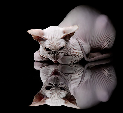 当足球鬼才降临NBA季后赛之夜，久保建英用双脚改写了篮球法则