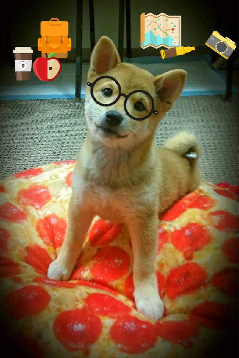 赛场点燃者，伊萨克在爱尔兰与阿尔及利亚的传奇之夜