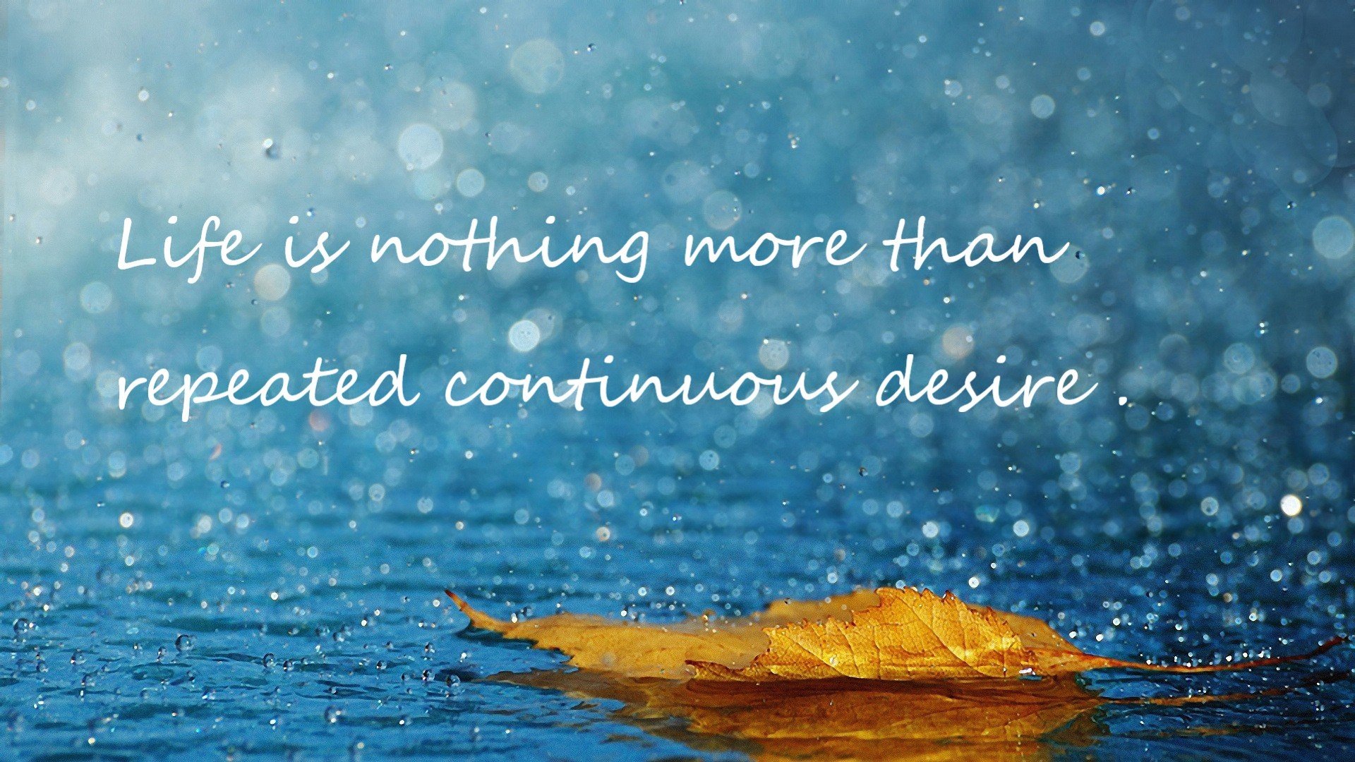 寒冰与烈火之间，阿劳霍用自我救赎重写失意者的故事