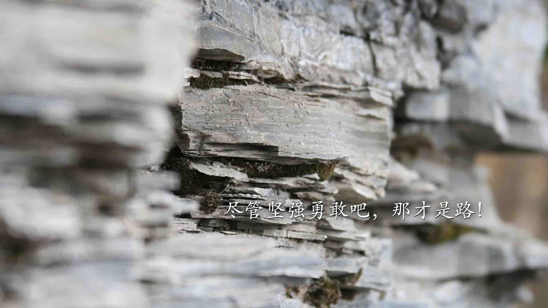 跨界主宰，勇士横扫灰熊，伦纳德在意甲焦点战中的篮球式接管