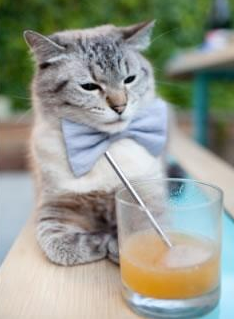 黑马奔腾！山西险胜新疆强势晋级，英格拉姆神勇封王关键先生