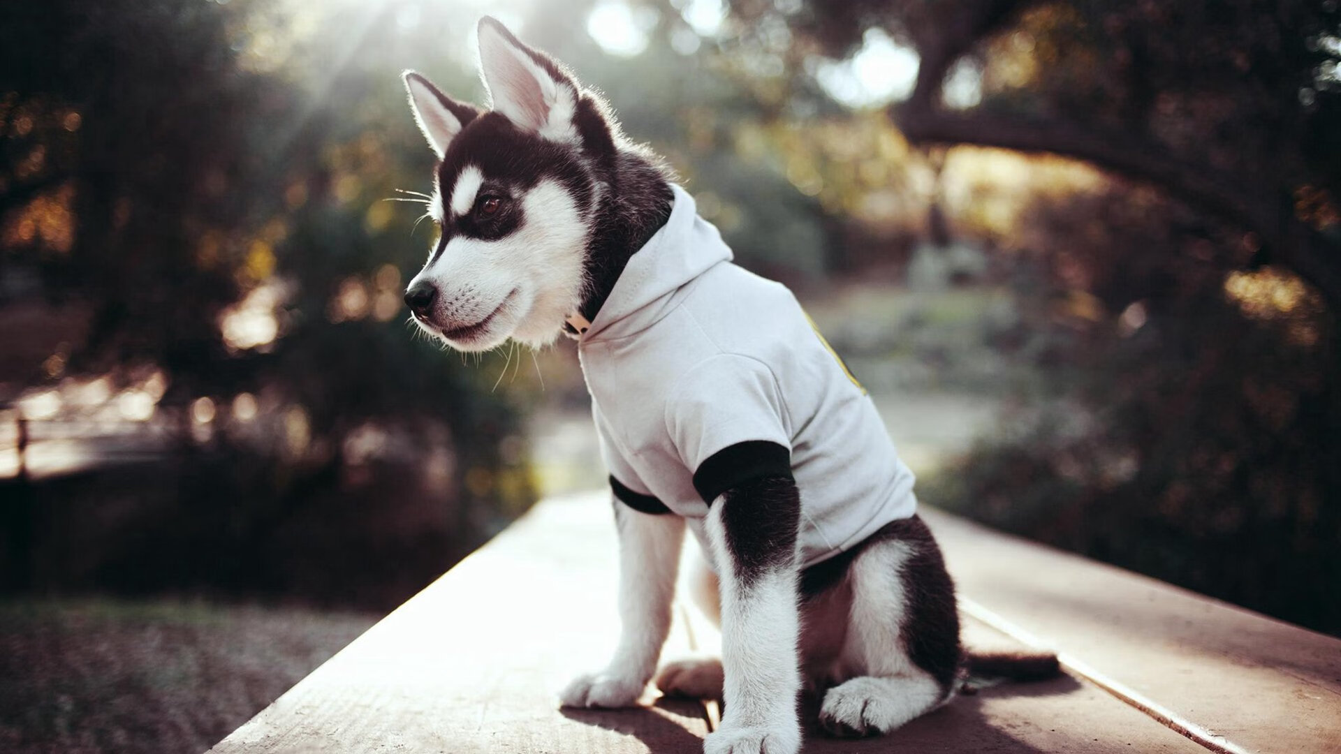 当蓝色节拍器失灵，曼联如何窃取阿克的节奏并谱写了曼市德比的唯一变奏曲