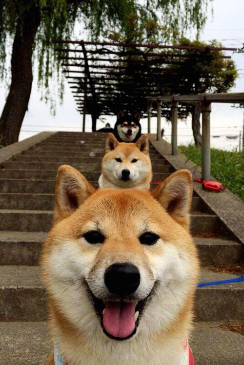 球场即课堂，班凯罗在美加墨世界杯之夜诠释何为教科书级表现