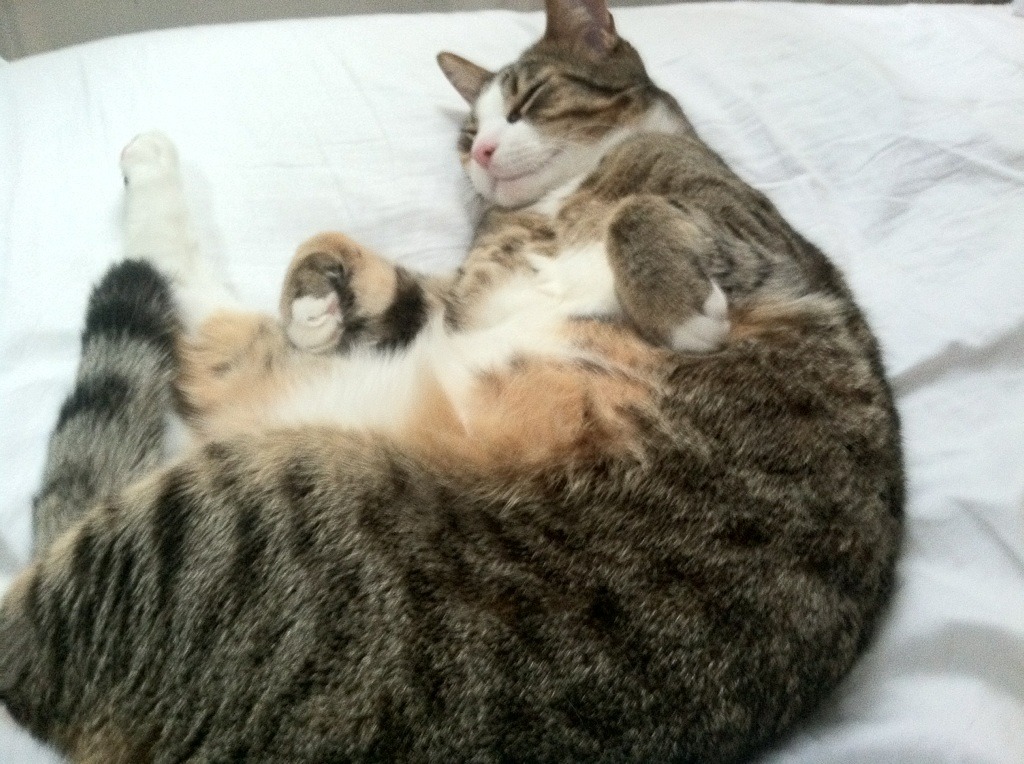 爱游戏2026-活塞的精密战车，在欧文的画布上碾过马刺的叹息