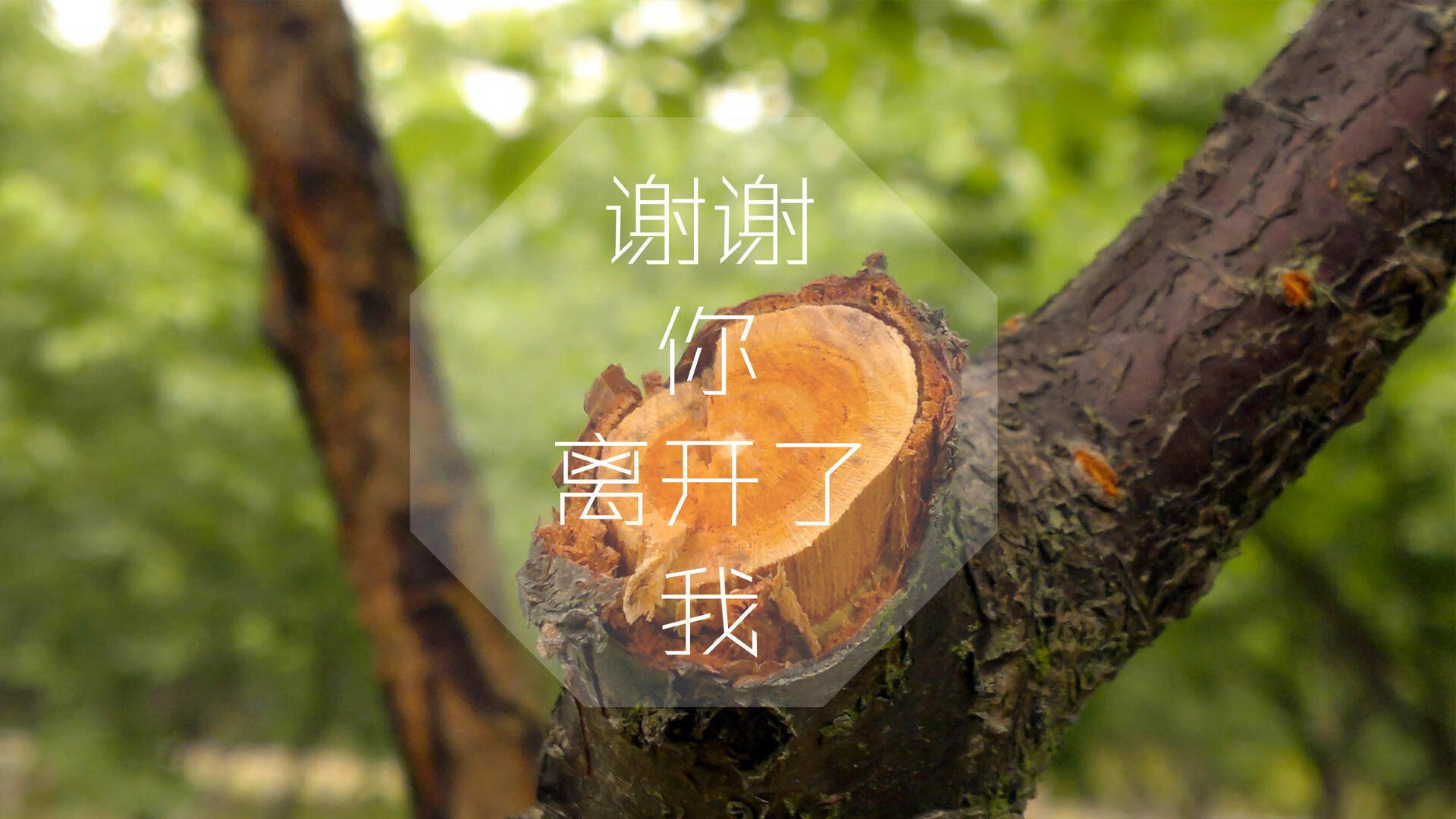 这是一篇为您定制的深度分析文章，围绕您给出的关键词，构建了一个兼具战术深度、戏剧张力和未来前瞻性的叙事