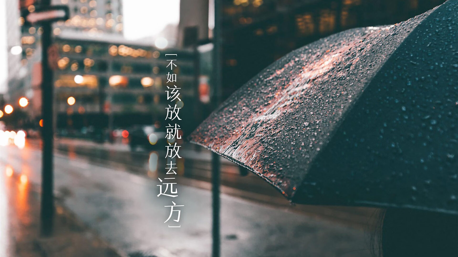 2026世界杯C组,德意志战车碾碎匈牙利,奥斯梅恩独舞成暗夜之光