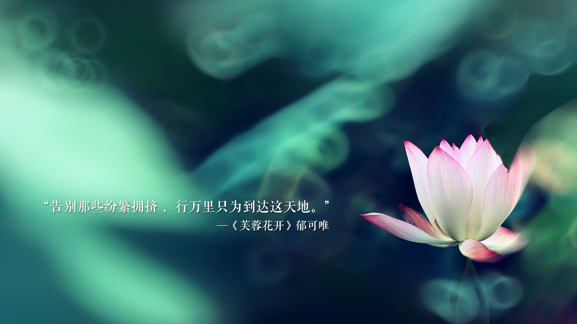 2026世界杯E组,冷门与绝杀交织的72小时,加纳的狂潮、葡萄牙的崩塌与久保建英的致命一刀